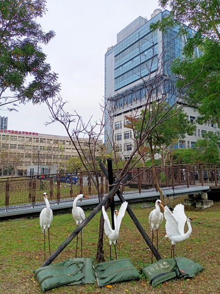 春暖花開的內湖文德三號公園、瑞陽公園、大港墘公園【齊心鞋力向前走】2025362