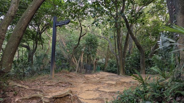 114.11.22鳶山彩碧-鳶山-鳶尾山之旅2943523