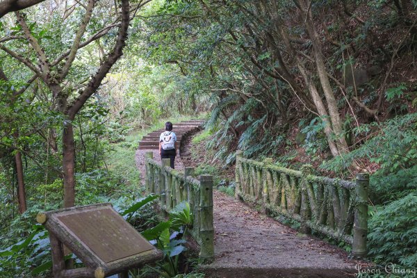 [新北]貂山古道1539049