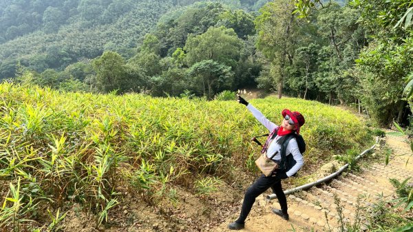 小百岳關刀山889m+銅鑼杭菊1924092