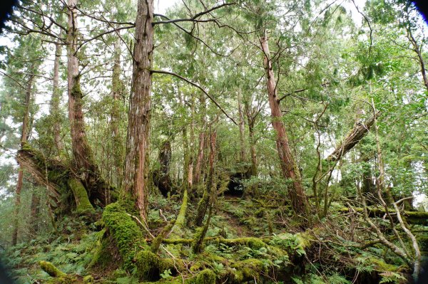 宜蘭 大同 見晴山2890642