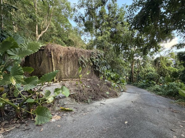 2025_1018 花蓮縣鳳林鎮鳳凰瀑布2921363