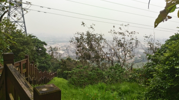 霧峰-中心隴步道44936