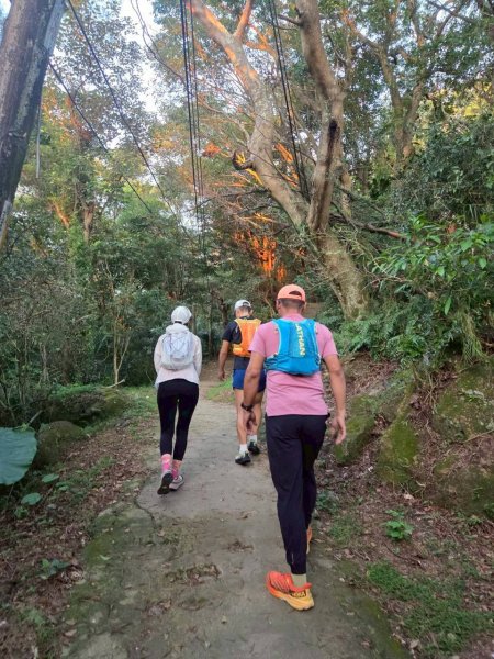 20250913_三峽鳶山爬山趣2882838