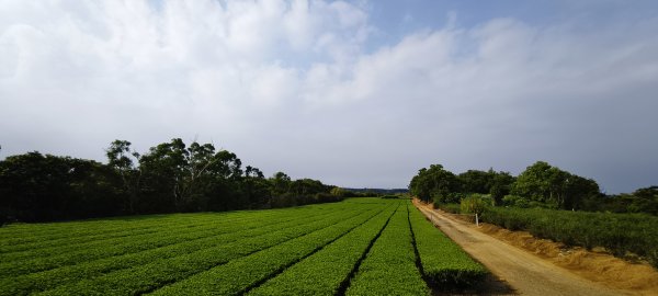 2025/08/17_三和晨光+石崎+背西步道O型2861574