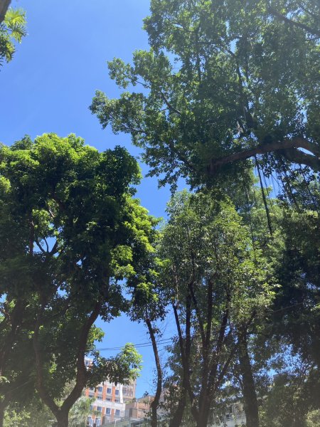 大稻埕、大港墘公園、瑞陽公園、碧湖公園步道【臺北健走趣】2874219