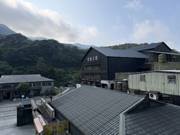 2026_0412 鐘萼木賞花 - 淡蘭國寶樹3035269