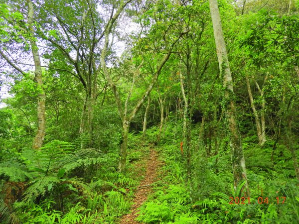 新北 坪林 開眼崙山1352160