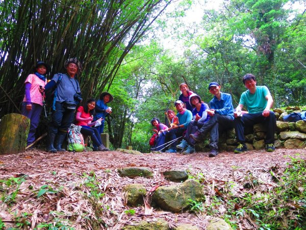 最美百年山徑：淡蘭中路中坑古道971249