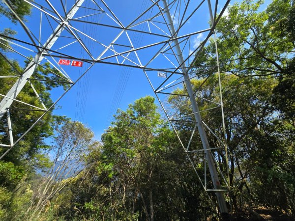 谷關松鶴橋對面的德芙蘭生態步道順登東卯山西南峰2748333