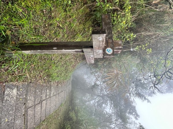 皇帝殿202603293035824