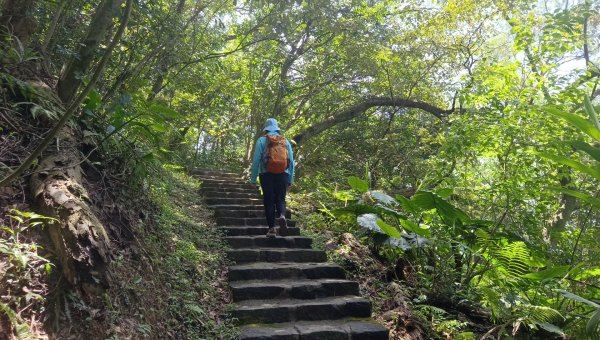(姨婆趴趴走)第五十三集:台北內湖三山（白鷺鷥山、康樂山、明舉山）連走2774608