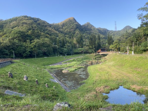 《金瑞治水園區開跑｜重訪金龍產道與碧山營地的暖陽晨跑》2951599