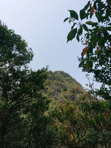 那結山（嘎色鬧部落線）893417