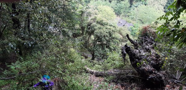 大霸群峰之旅596225