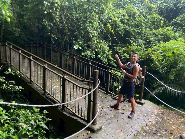 南庄.蓬萊溪護魚步道.四十二份坪步道.小東河步道【差點一事無成的七月暑假】2849348