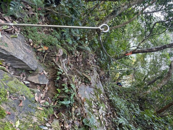 坪林五山縱走 ：九芎根山、金紙崙山、鳥嘴尖山、倒稍楠山、紀州寮山O形2745284