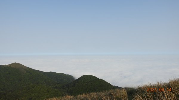 邂逅江湖傳說已久鐘萼木(據說冰河孓遺植物)，再見差強人意的月光/日出雲海2112150