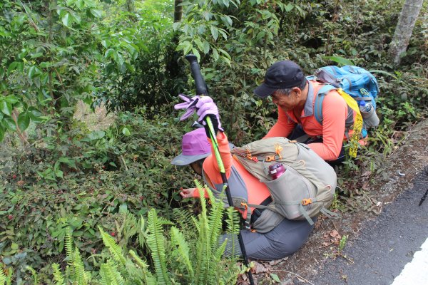 20210417雲林後棟仔山大尖二尖山1358943