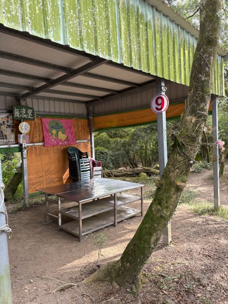 20251207笠頂山登山步道(第一登山口)2957663