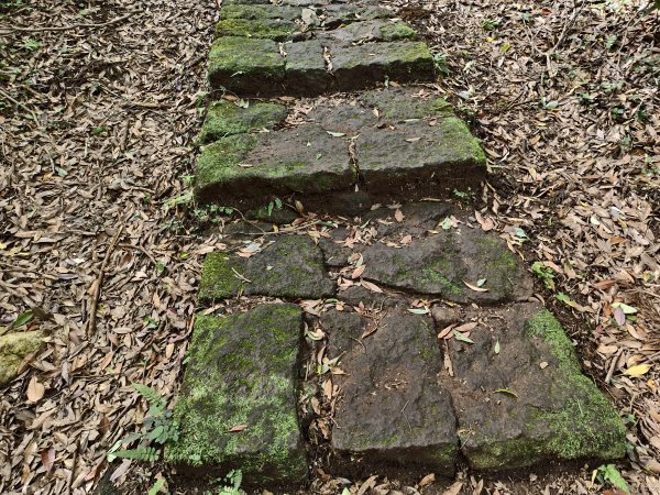 [百山百鳥尋旅-11/15] 2025_0927 大屯主峰-連峰步道_大屯山南峰2899354