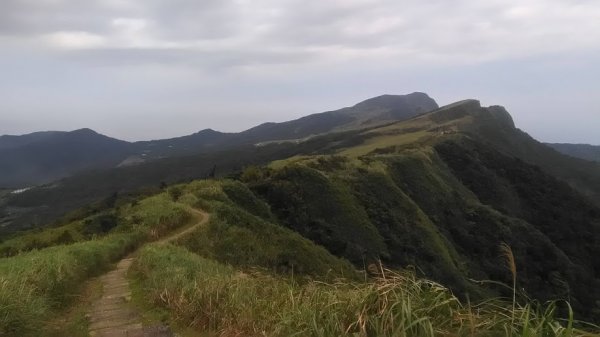 2019 3/2 草嶺古道 桃源谷封面