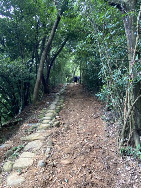 20250706-EP.07石光古道-2025森遊竹縣皮皮獅探險隊2851795