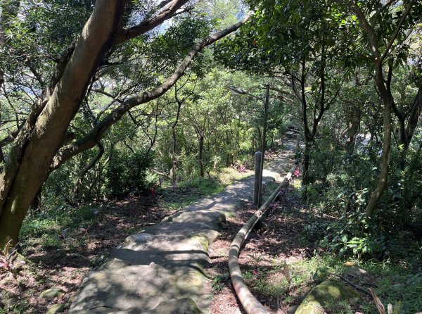 [跟著2025雙北世壯運探索雙北市-7/21] 2025_0615 疾風足球道（輔仁大學－明志路二段2814994