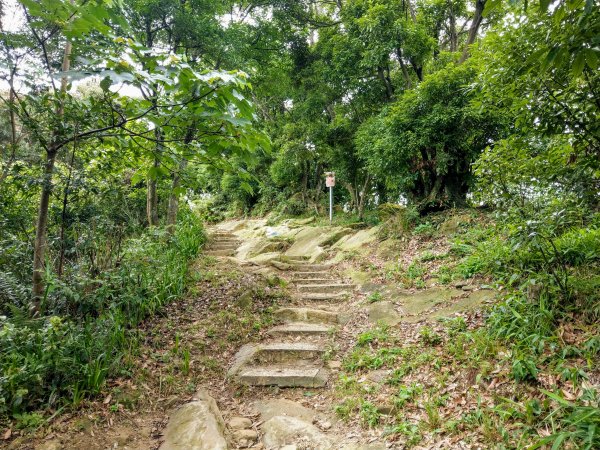 南勢角山(小百岳#16)下外挖子山步道987927