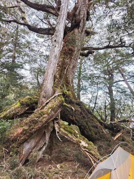 神魔塚0型縱走2728734