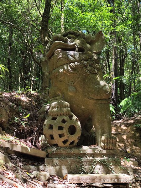 【臺北大縱走 4】大崙頭山北面步道→五指山古道→雙溪溝古道2874384