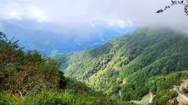 玉山前峰，關子嶺大凍山，宜蘭拳頭姆自然步道2313379