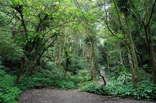 臺北 貓空圓山、貓空尖、十六分山、四面頭山、三玄宮山、鵝角格山、待荖坑山2585820