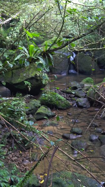 柴寮古道、中坑古道2814662