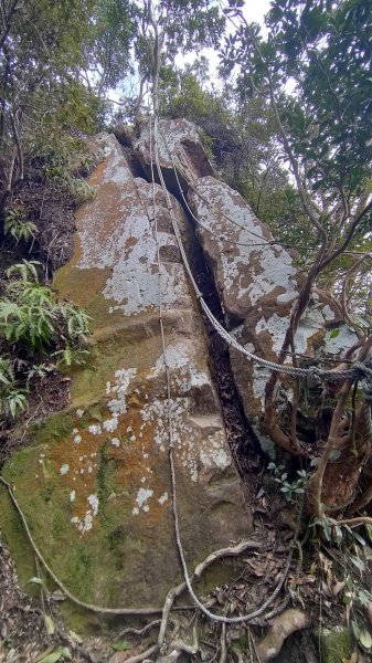 雙石縱走加碼蓬萊仙島山2997576