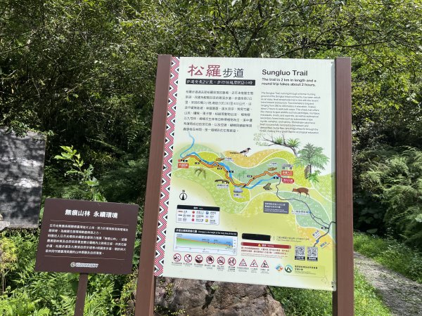 2025_0713 松羅步道2836698