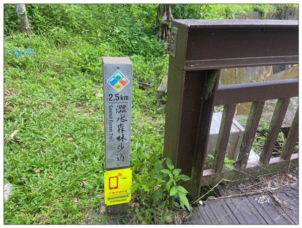 澀水森林步道、水上瀑布2846766