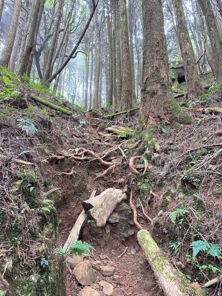 兒玉山連走東水山O型輕鬆走2456903