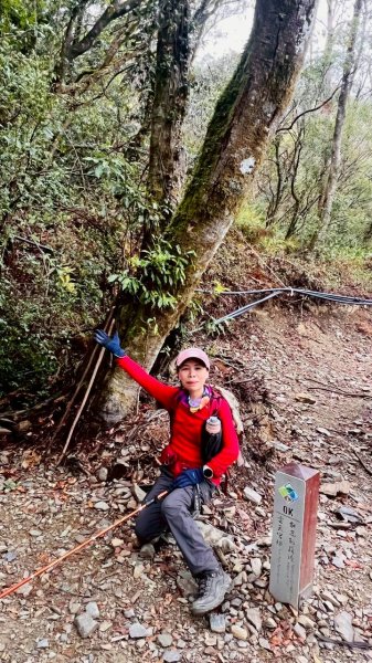 🌈2/26（五）-27（六）黃金大草原~奇萊南華2日✨FB：熊熊趴爬走🌈3008185