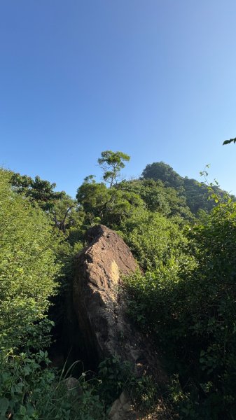 旗尾山、美濃湖3130926