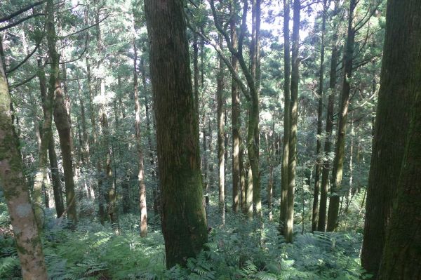 志繼山、東眼山、拉卡山O型環走401756