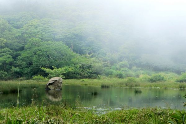 晴天版草山秘境湖泊138907