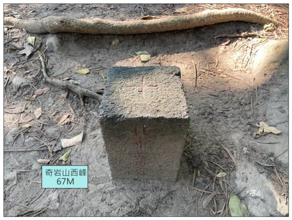 烏尖連峰縱走18基石 ( 唭哩岸山、軍艦岩、丹鳳山 )2980900