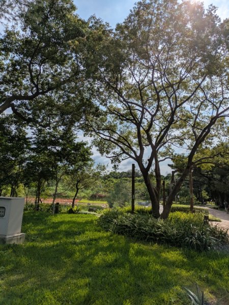 霄裡好風光二日遊2848174