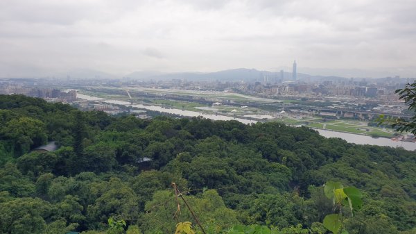 收集小百岳-劍潭山1439713