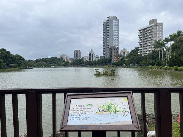 [臺北健康大穀東-23/34] 2023_1021 碧湖公園步道2332515