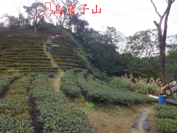 水柳腳保甲路-烏窟子山-獵狸尖-保線路O型