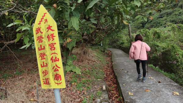 大修宮步道登山健行趣(步道)2122842