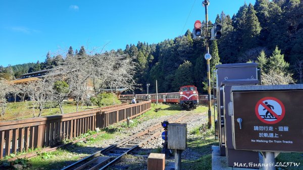 《嘉義》森鐵雲海｜阿里山祝山觀日步道對高岳車站202312292388828