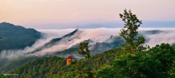 石碇趴趴走追雲趣 #二格山 #雲瀑 #藍腹鷴母鳥 #雲海流瀑 #霧虹 5/172788222